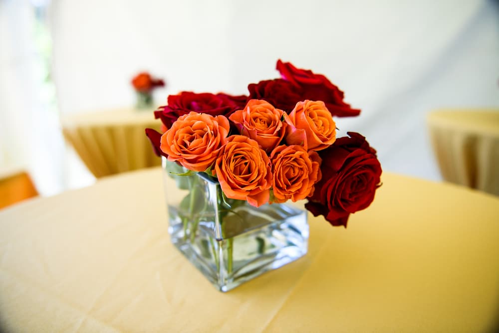 Cube Vase For Flowers